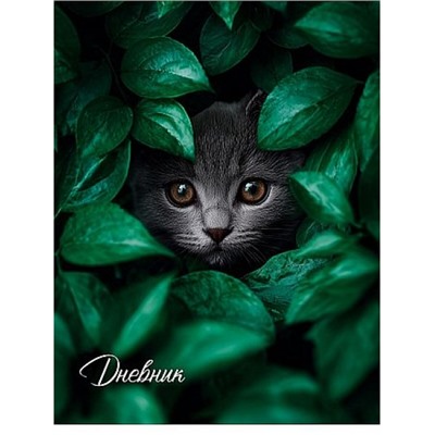 Дневник для старших классов (твердая обложка) "КОТ В ЛИСТЬЯХ" глянц.ламин. Д48-9565 Проф-Пресс