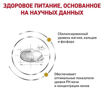 Сухой корм RC Urinary S/O для кошек, 3.5 кг