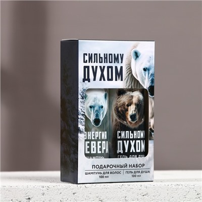 Подарочный набор новогодний «Сильному духом»: гель для душа и шампунь для волос, 2×100 мл, Чистое счастье