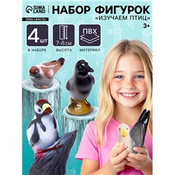 Набор фигурок «Изучаем птиц», 4 шт.