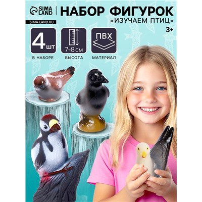 Набор фигурок «Изучаем птиц», 4 шт.
