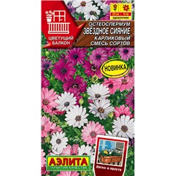 1649A Остеоспермум Звездное сияние карликовый, смесь сортов 10шт