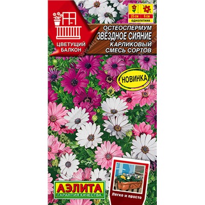 1649A Остеоспермум Звездное сияние карликовый, смесь сортов 10шт