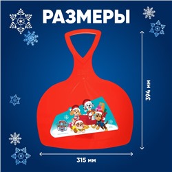 Ледянка Paw Patrol