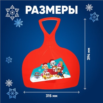 Ледянка Paw Patrol