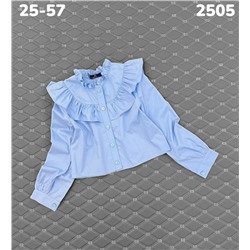 Блузка B2505 голубой