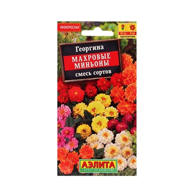 Набор семян цветов Георгина, махровая, низкорослая