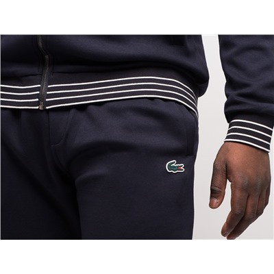 Спортивный костюм Lacoste