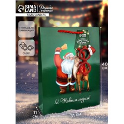 Пакет подарочный «Новогодний», с очками, 31×11×40 см