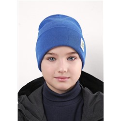 CLEVER Шапка