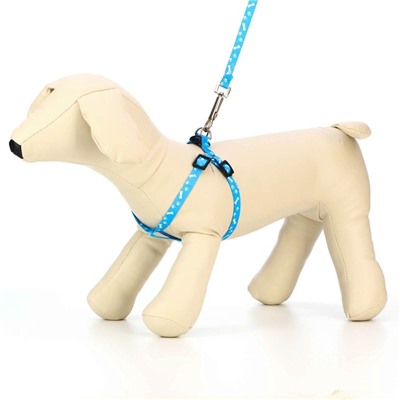 Шлейка с поводком «Классика», ОГ 21-35 см, поводок 120×1 см, капрон, голубая