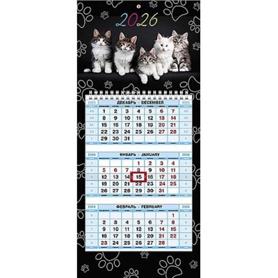 Календарь квартальный 2026 г. МИНИ-1 1 спираль "Котосессия" 3-х блоч. с бегунком (091683) 33887 Хатбер