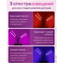 Светильник #23341219