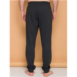 SFP6919 (Брюки мужские, Pelican )