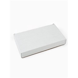 Блюдо новогоднее «Снегирь», 23×13×2.5 см, ручная работа