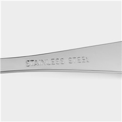 Набор столовых ложек из нержавеющей стали Доляна «Букет», длина 20.5 см, 6 шт., серебристый