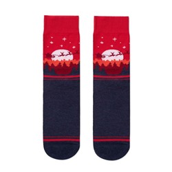 Носки мужские БРЕСТСКИЕ НОВОГОДНИЕ НОСКИ МУЖСКИЕ 2146  CLASSIC