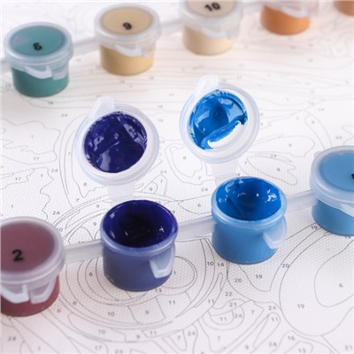 Картина по номерам на подрамнике «Скрудж» 30×40 см, Микки Маус