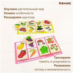 Лото «Растительный мир»
