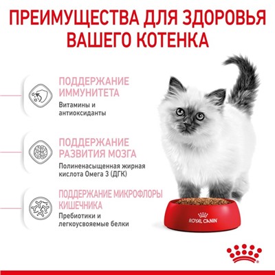Сухой корм RC Kitten для котят, 300 г