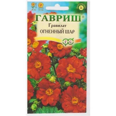 Гравилат Огненный шар (Код: 7962)