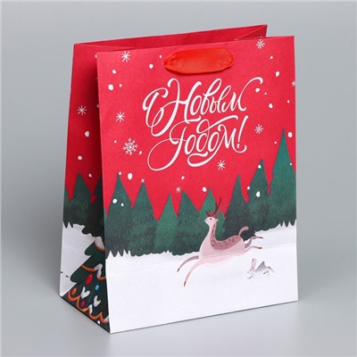 Пакет подарочный новогодний крафтовый New, MS 18×23×10 см