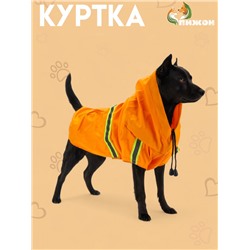Куртка для собак с подкладом, размер S (ДС 25, ОГ 34 см, вес 2-4 кг), оранжевая