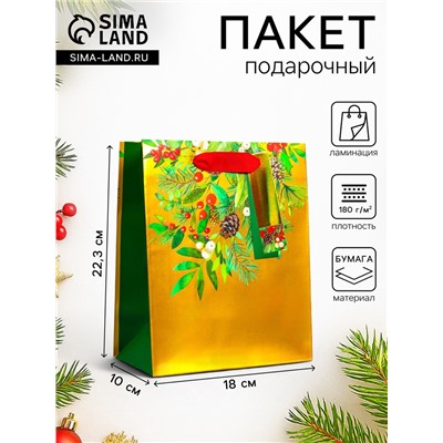 Пакет подарочный с тиснением, «Новогодний букет», люкс, 18×22.3×10 см