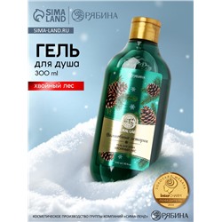 Гель для душа «Волшебные истории», аромат хвойный лес, 300 мл, URAL LAB
