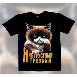 Футболка мужская