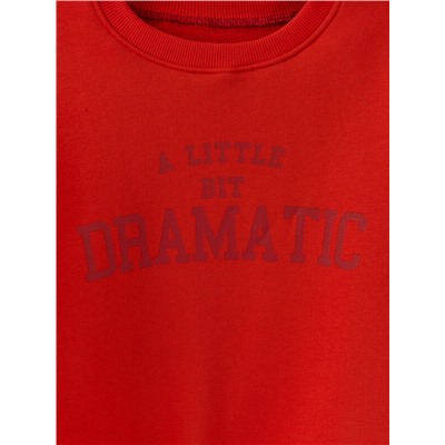 СВИТШОТ ДЛЯ ДЕВОЧЕК 127881/1