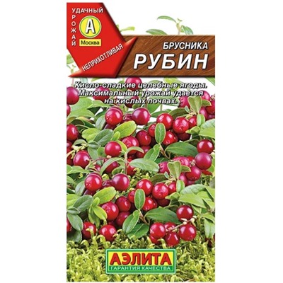 Брусника Рубин морозостойкая