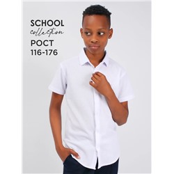 Соль&Перец Рубашка SP4849