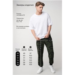 Мужские брюки из футера двухнитки Happyfox