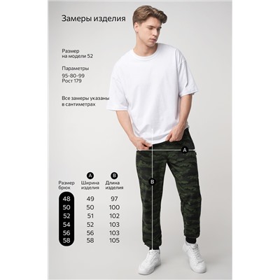 Мужские брюки из футера двухнитки Happyfox