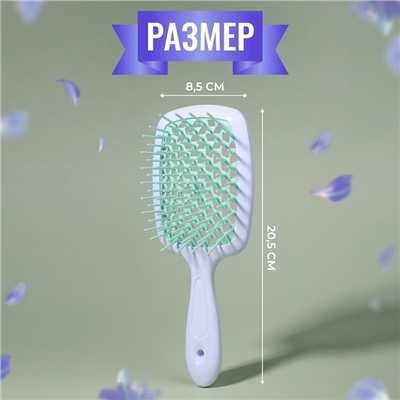 Расчёска массажная, широкая, вентилируемая, 8.5×20.5 см, PVC коробка, цвет белый/бирюзовый