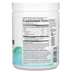 Garden of Life, Dr. цельнопищевой магний, порошок, с апельсиновым вкусом, 419,5 г (14.8 унций)