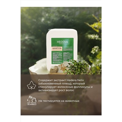 Hedera Professional Шампунь для окрашенных волос / Service Line, 5000 мл KRISTALLER, 1219514