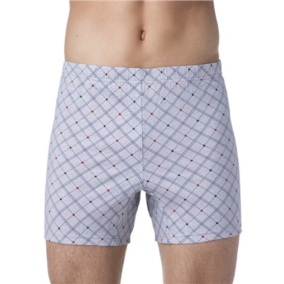 Трусы мужские Брестские SHORTS 6400