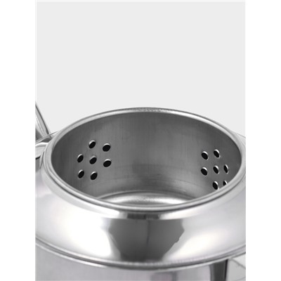 Заварочный чайник «Альваро», 500 мл, металлическое сито, нержавеющая сталь, фиксированная ручка