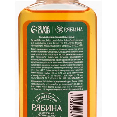 Подарочный набор новогодний «Исполнения желаний», гель для душа 2 шт.×100 мл, URAL LAB