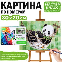 Набор для рисования "Картина по номерам 30х20 см. Пандочка"