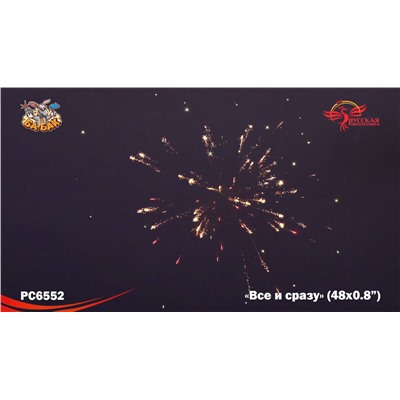 Фейерверк РС6554 Все и сразу (0,8" х 49)
