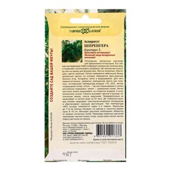 Семена цветов Аспарагус густоцветковый Шпренгера*  4 шт.