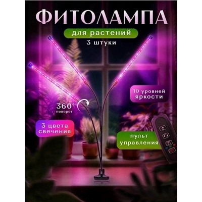 Комплект #23056224