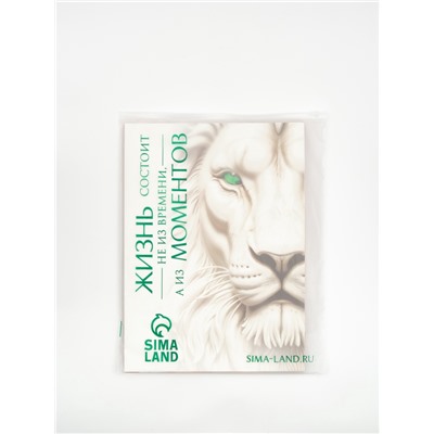 Пакет подарочный «Новогодняя сказка», с ободком, 31×11×40 см