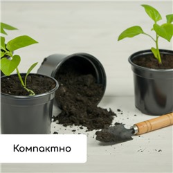 Набор для рассады: стаканы по 500 мл (8 шт.), поддон 40 × 20 см, чёрный, Greengo