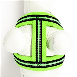 Комплект амуниции светоотражающий с мягкой шлейкой и мягкой ручкой, 1.5×120 см, ОШ 35-53, жёлтый