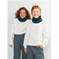 Acoola Шарф 20306440009