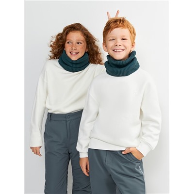 Acoola Шарф 20306440009